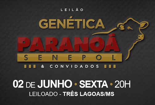 Leilão Genética Paranoá comercializa as melhores doadoras Senepol do presente e do futuro